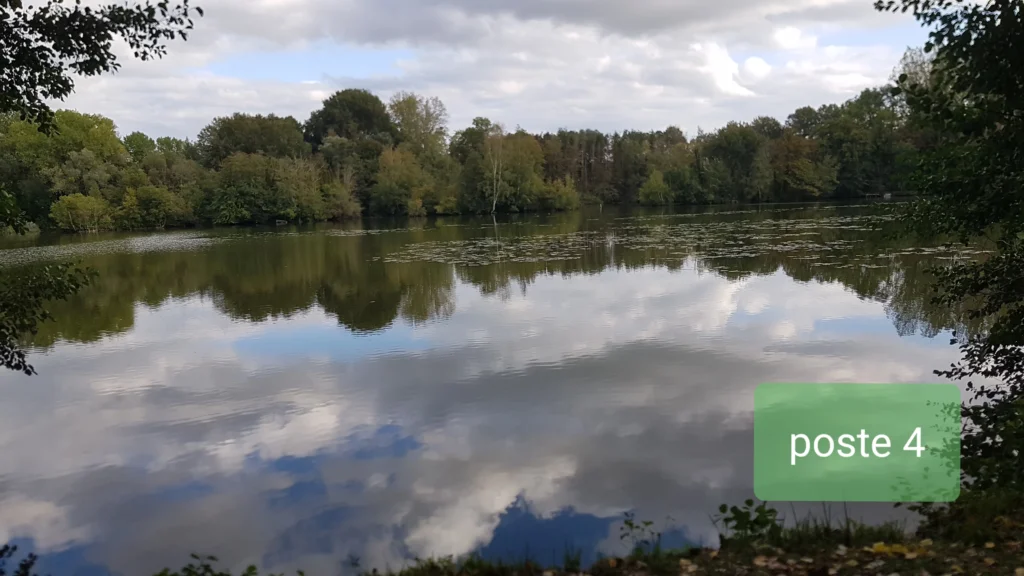 Les Jars (14)