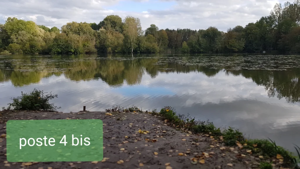 Les Jars (15)