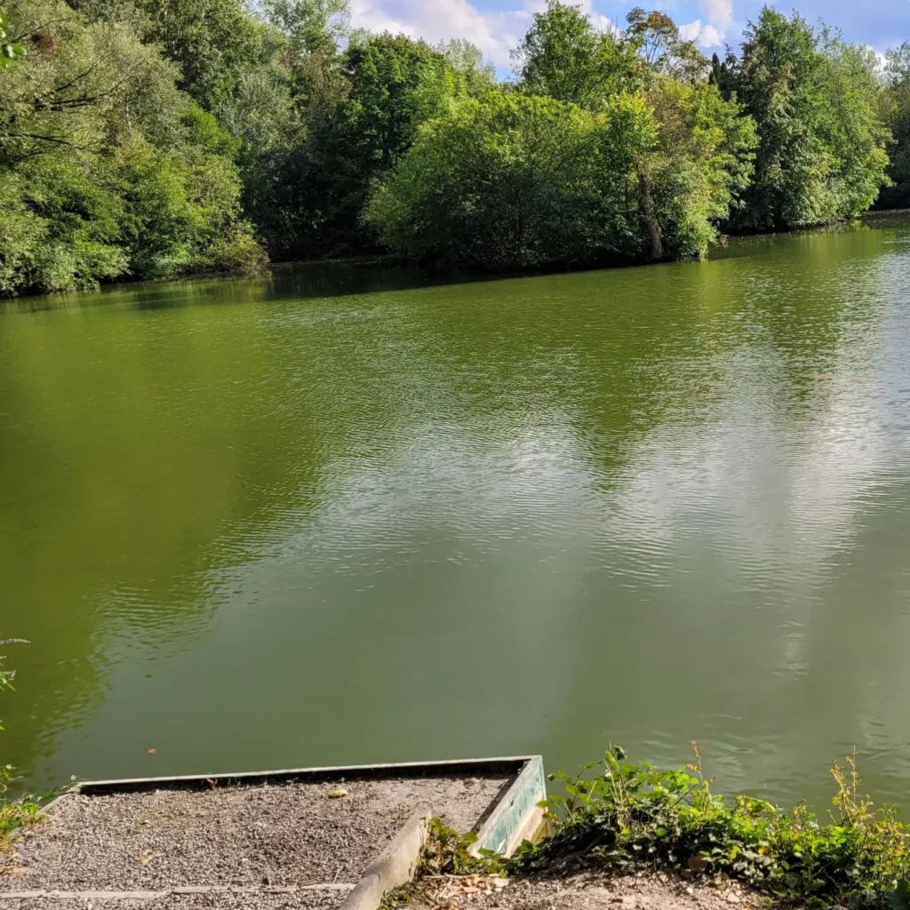 Les Jars (18)