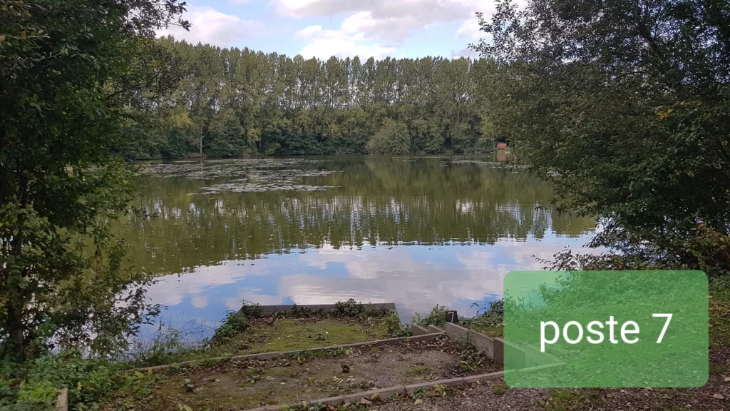 Les Jars (5)