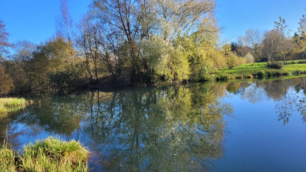 Les sources (2)