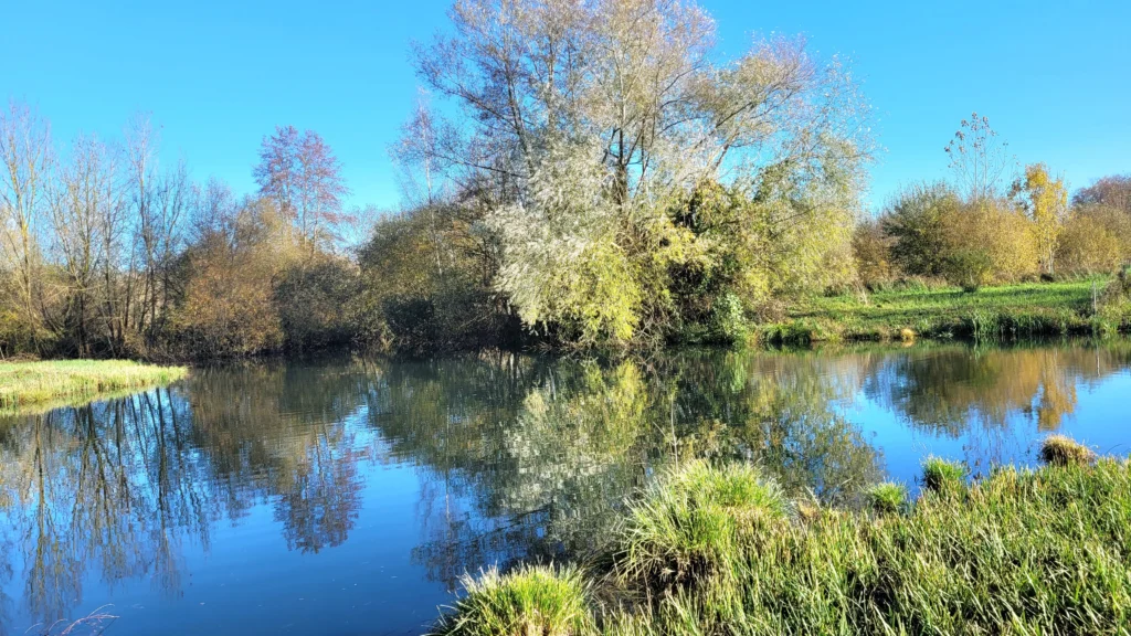 Les sources (4)