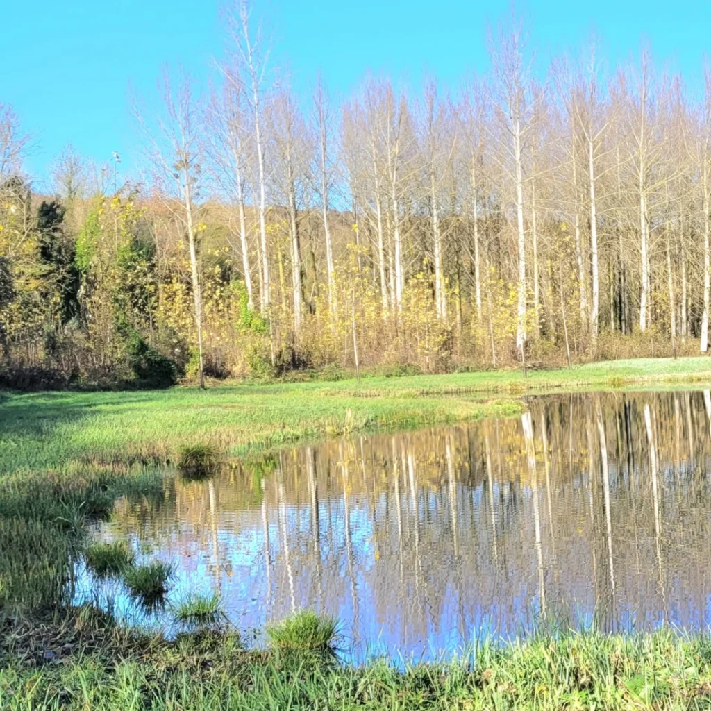 Les sources (5)