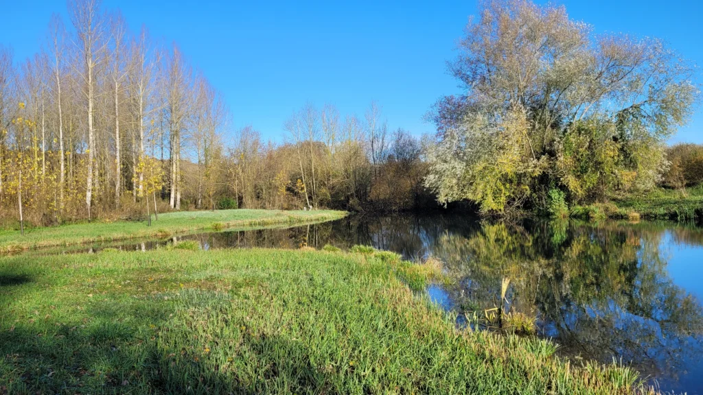 Les sources (6)