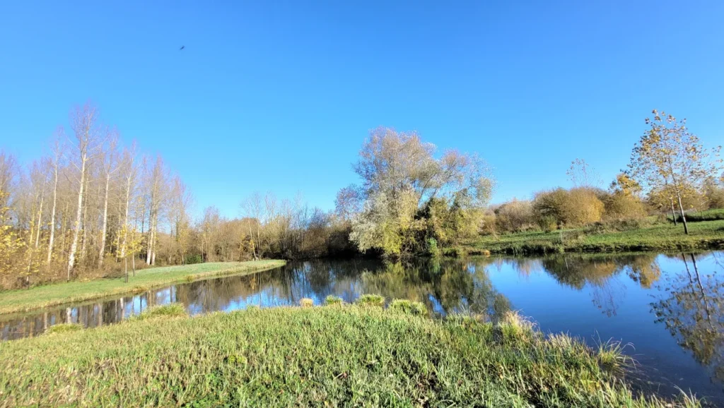 pêche carpe Somme