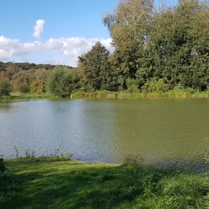 Pêche carpe Amiens : le Domaine Remiencourt, votre escapade carpiste en Picardie