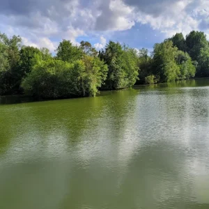 Pêche dans la Somme : pourquoi visiter le Domaine Remiencourt